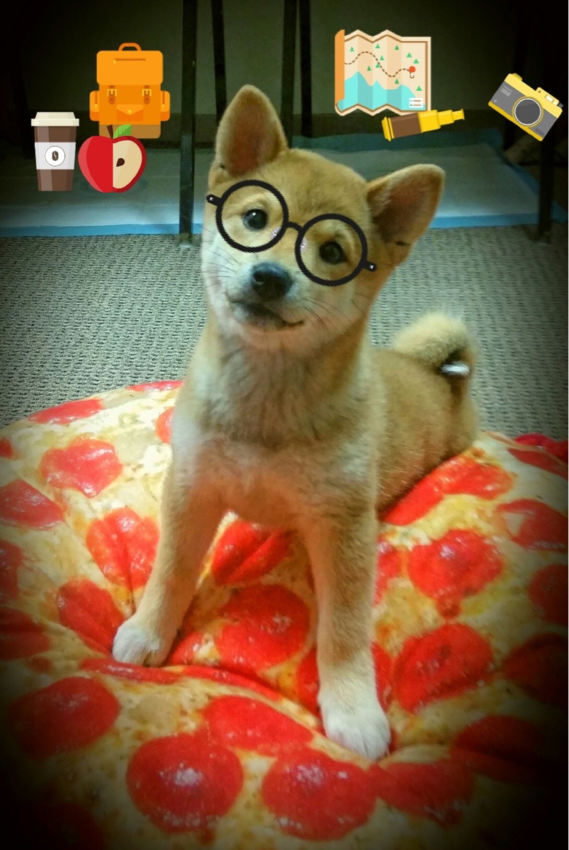 FB体育APP-_星光大道：明星运动员助阵高端私人赛_，星光大道中国明星