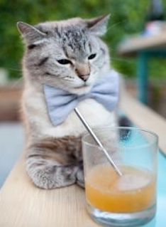 fb体育官网首页-夺冠“武器”_ 欧冠冠军的必备要素，欧冠夺冠奖金是多少