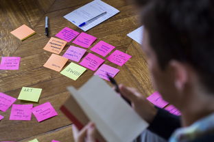 fb体育全站-体育公益项目社会影响力研究，关于体育的公益项目